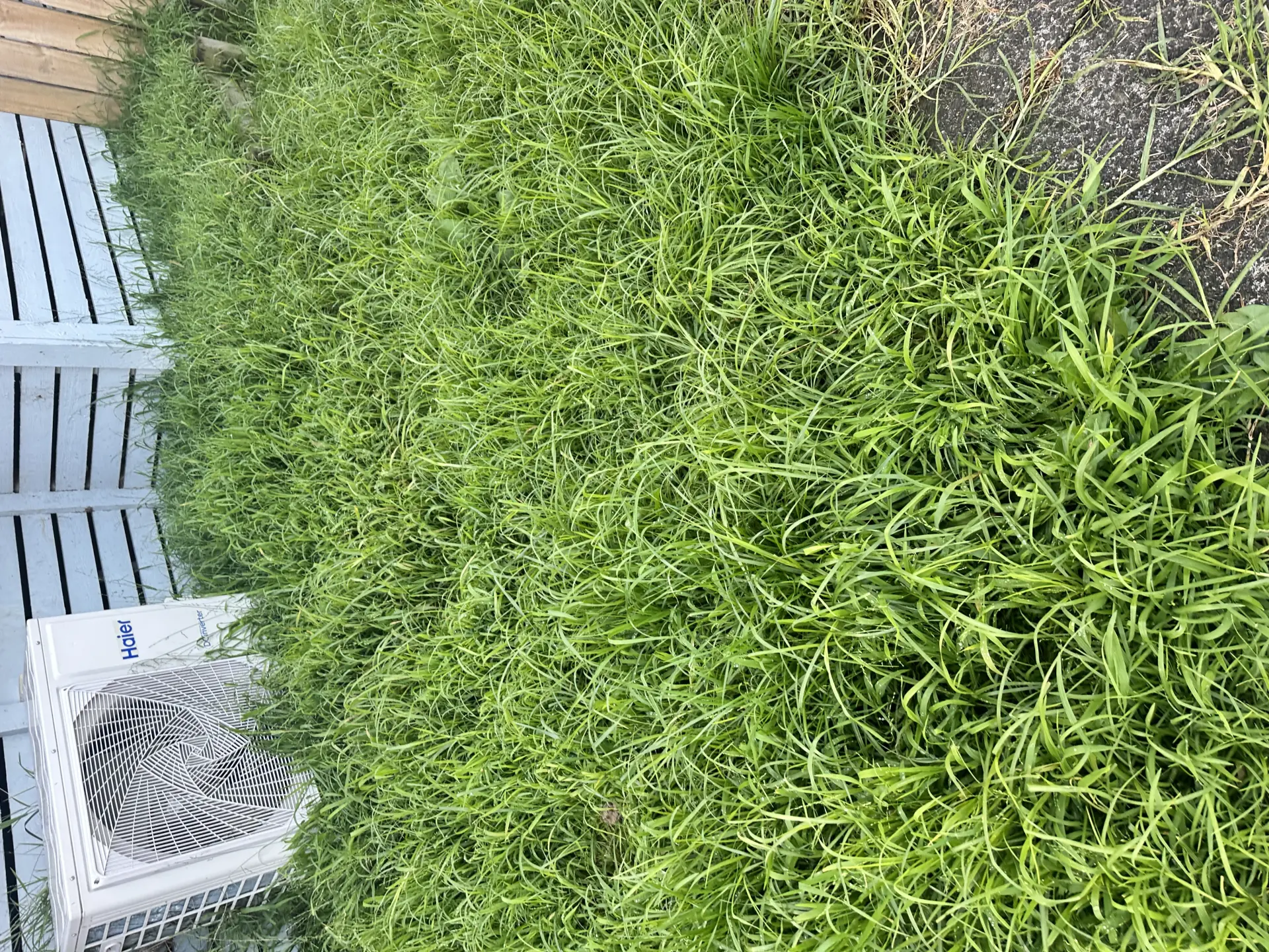 lawn mowing