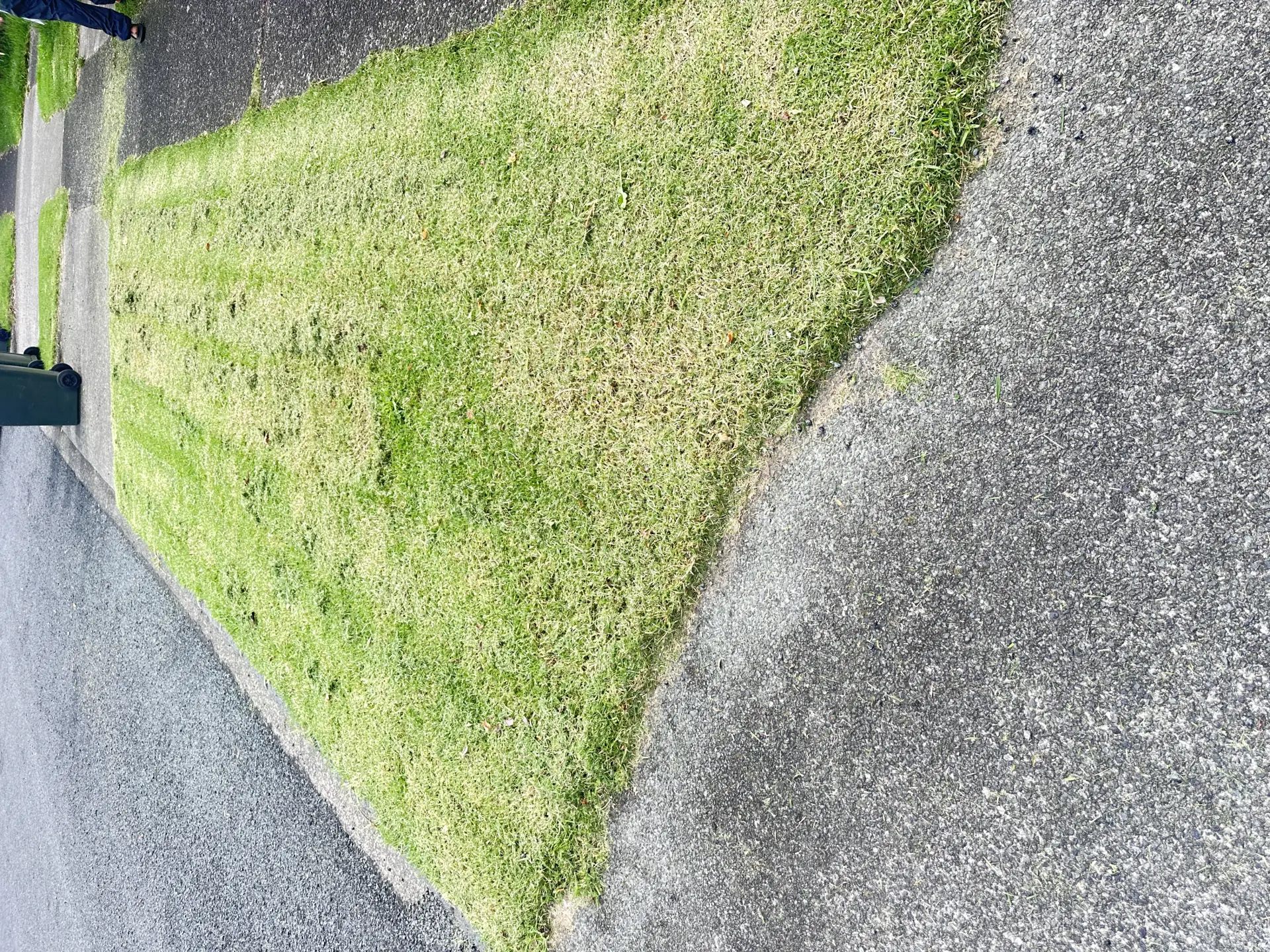 Freshly mowed green lawn with professional stripe patterns and neat concrete edging.