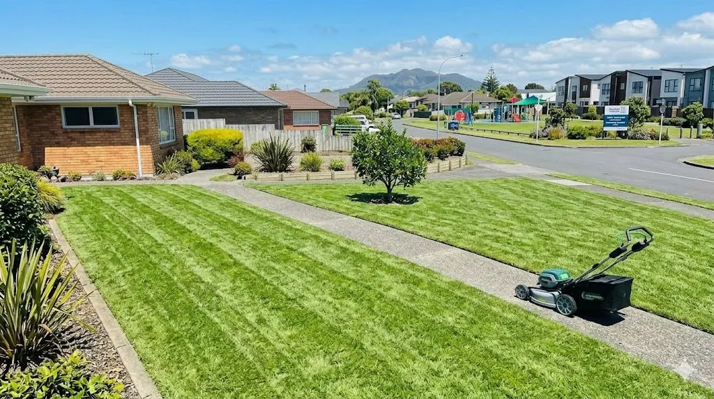 Lawn Mowing in South Auckland